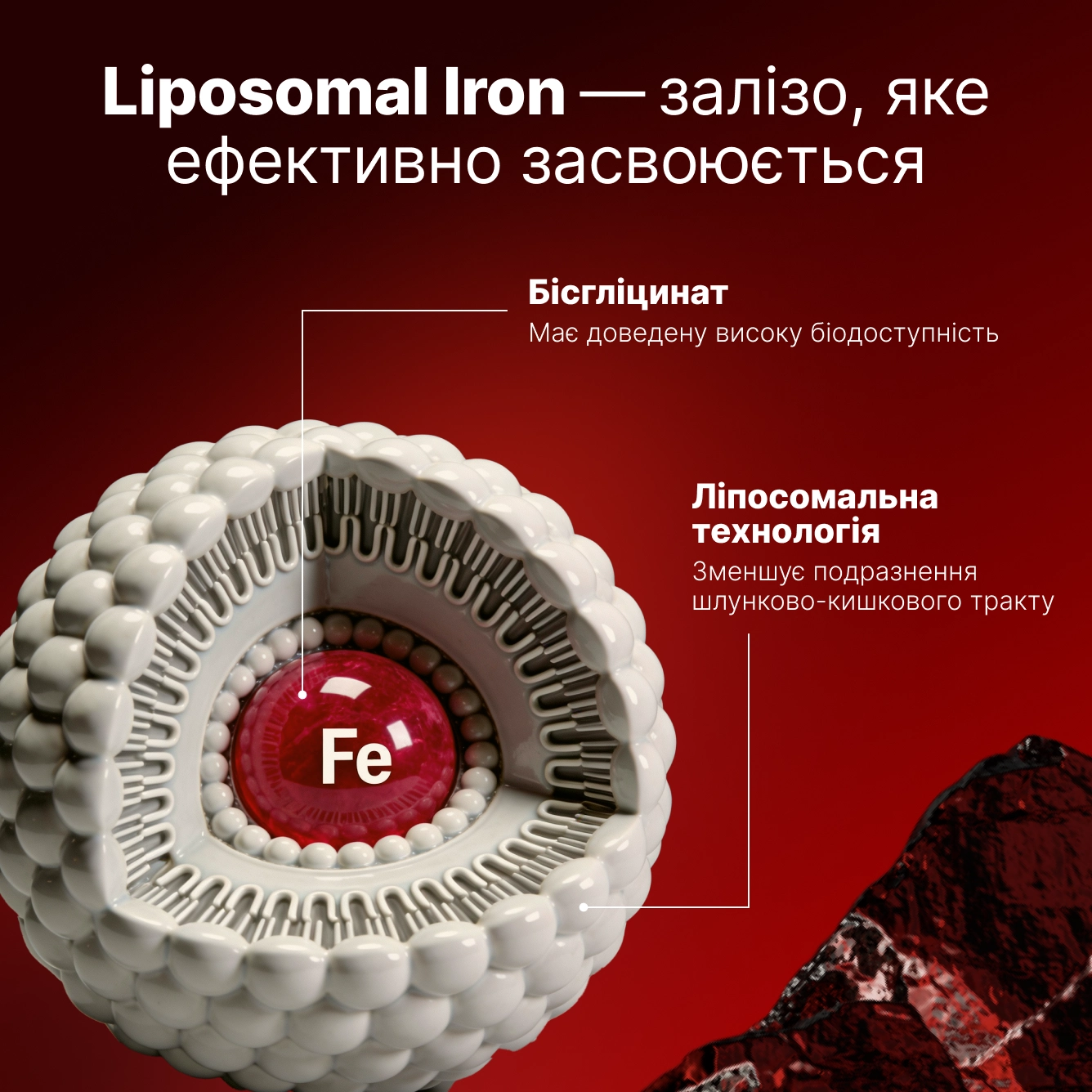Liposomal Iron - preview 3