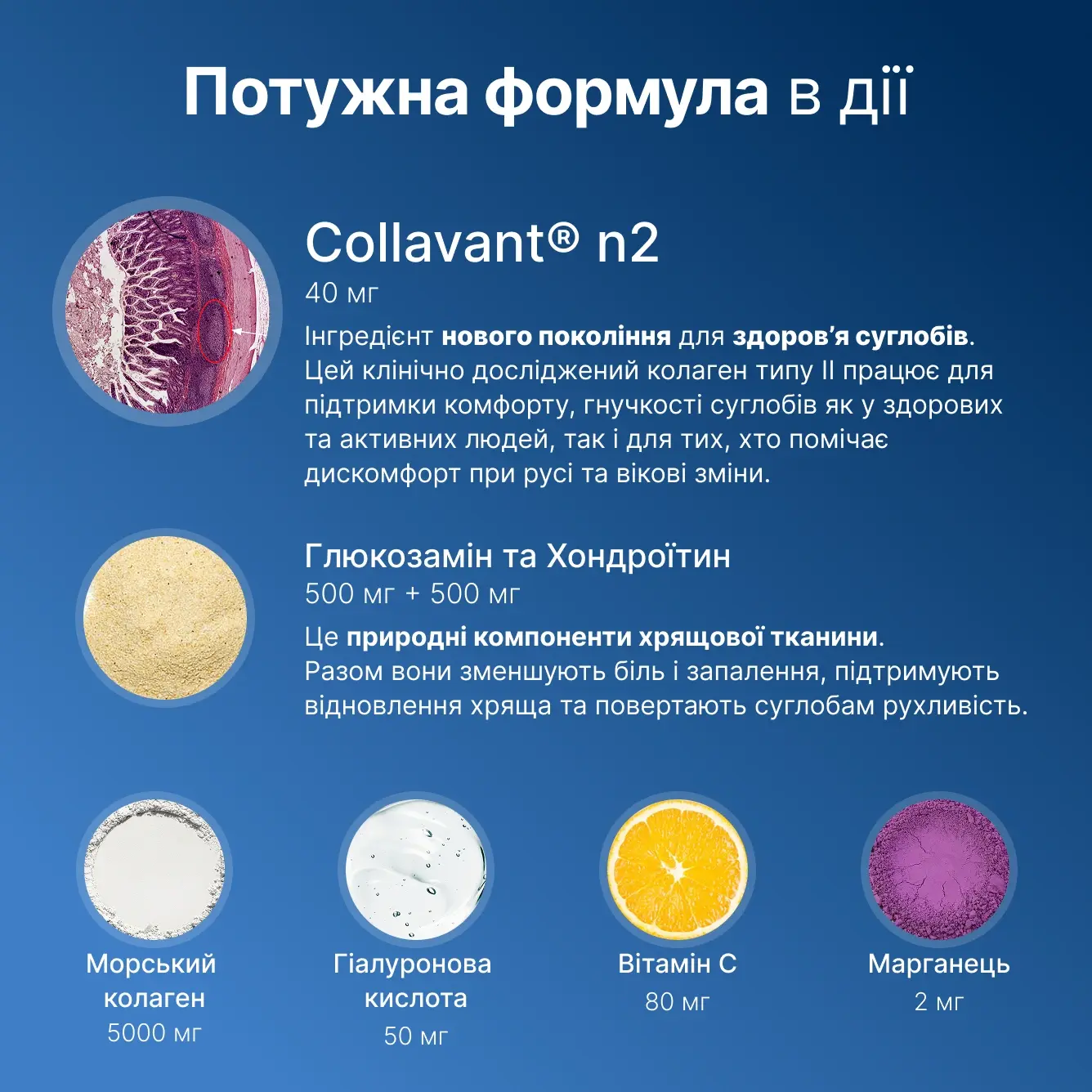 Joint Collagen - preview 4